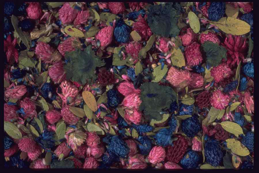 Colors And Textures - Corel Professional Photos ></a>
<script language=JavaScript> 
  var txt = 