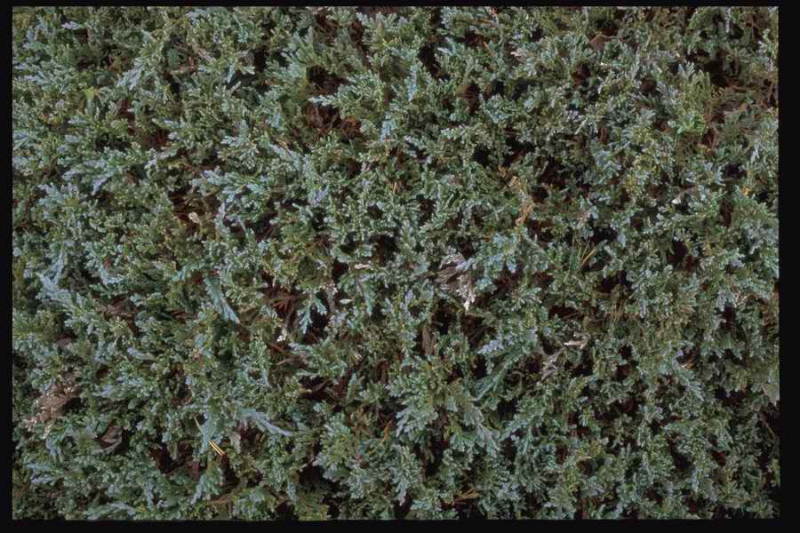 Colors And Textures - Corel Professional Photos ></a>
<script language=JavaScript> 
  var txt = 