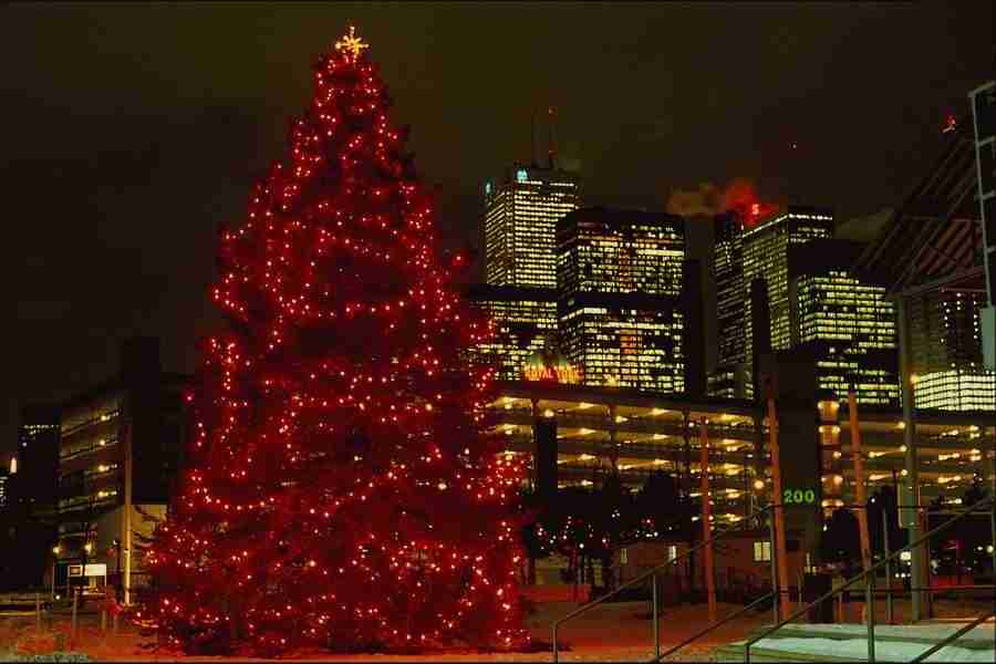 Christmas Celebration - Corel Professional Photos ></a>
<script language=JavaScript> 
  var txt = 