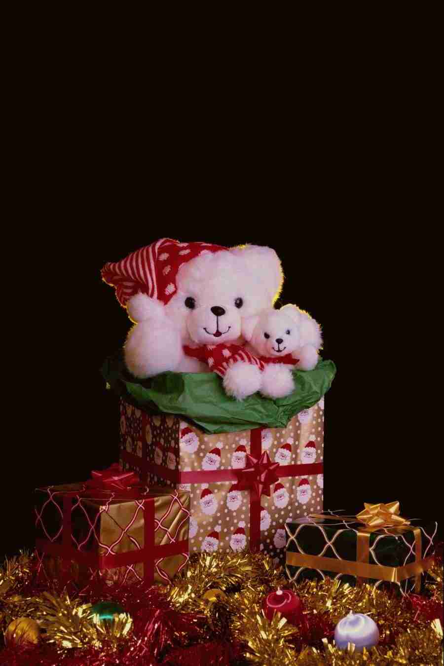 Christmas Celebration - Corel Professional Photos ></a>
<script language=JavaScript> 
  var txt = 