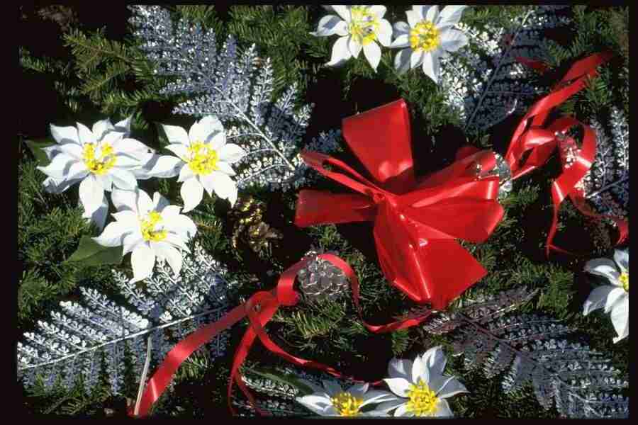 Christmas Celebration - Corel Professional Photos ></a>
<script language=JavaScript> 
  var txt = 