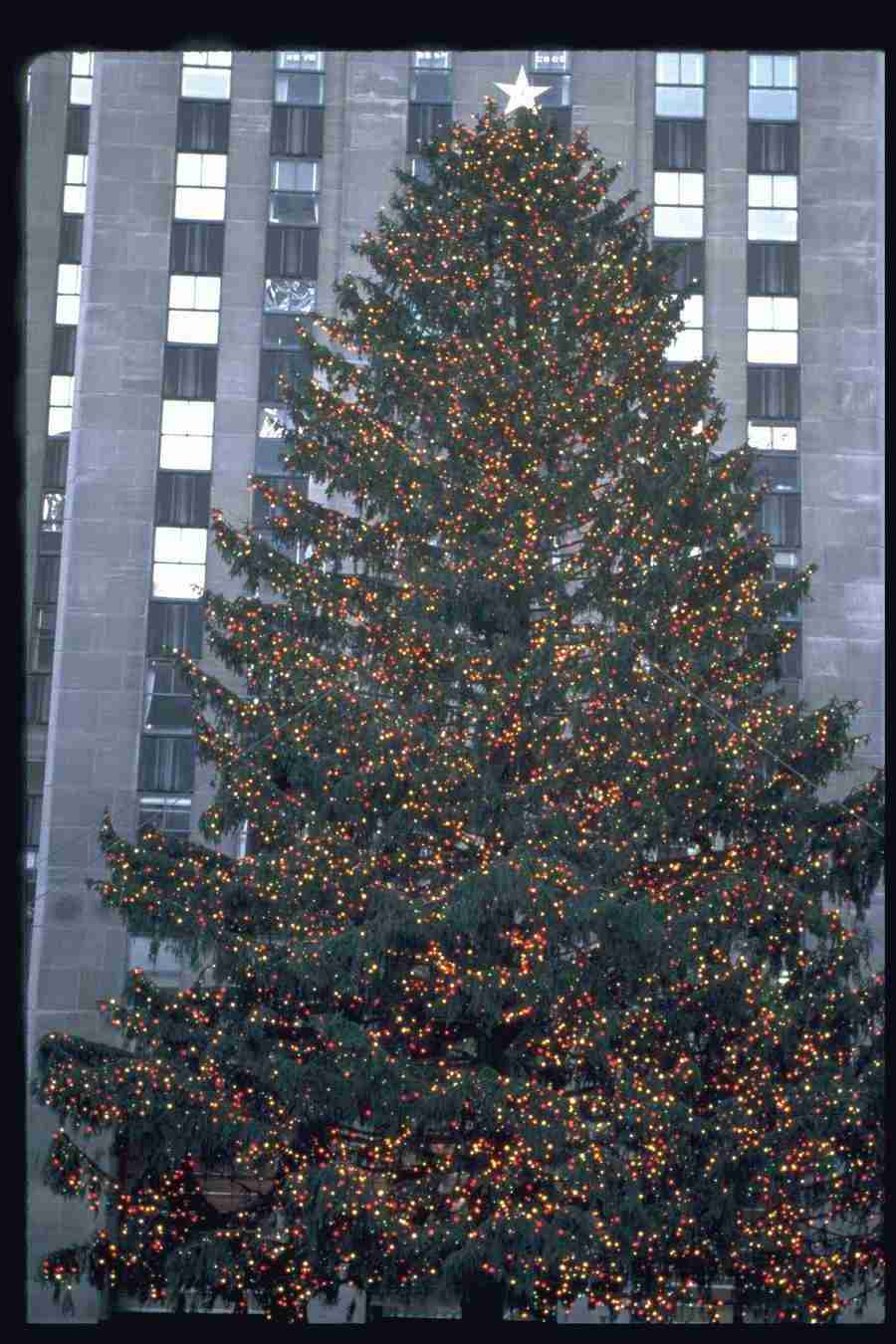 Christmas Celebration - Corel Professional Photos ></a>
<script language=JavaScript> 
  var txt = 