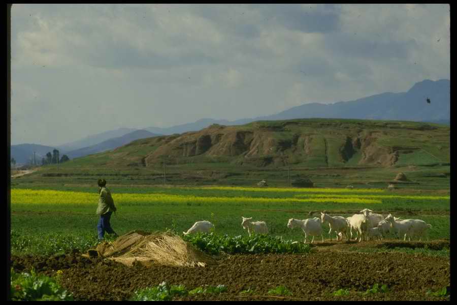 China And Tibet - Corel Professional Photos ></a>
<script language=JavaScript> 
  var txt = 