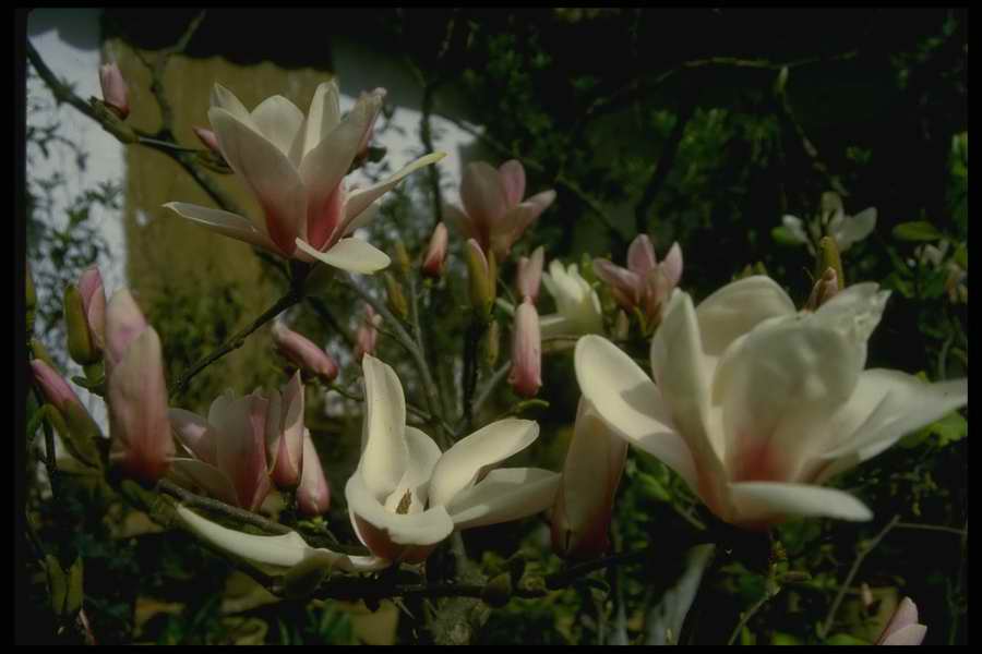 China And Tibet - Corel Professional Photos ></a>
<script language=JavaScript> 
  var txt = 