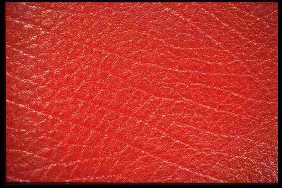 Creative Textures - Corel Professional Photos ></a>
<script language=JavaScript> 
  var txt = 