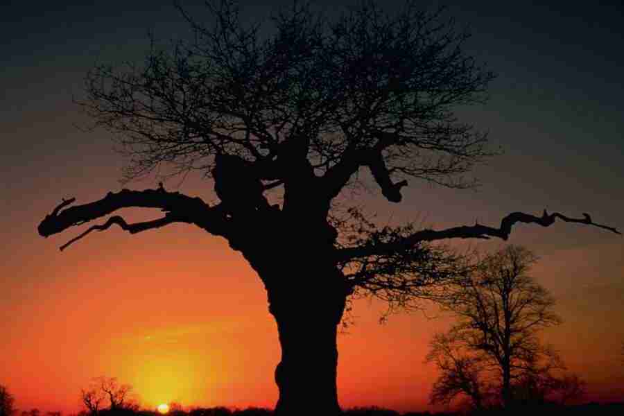 Evening Skies - Corel Professional Photos ></a>
<script language=JavaScript> 
  var txt = 