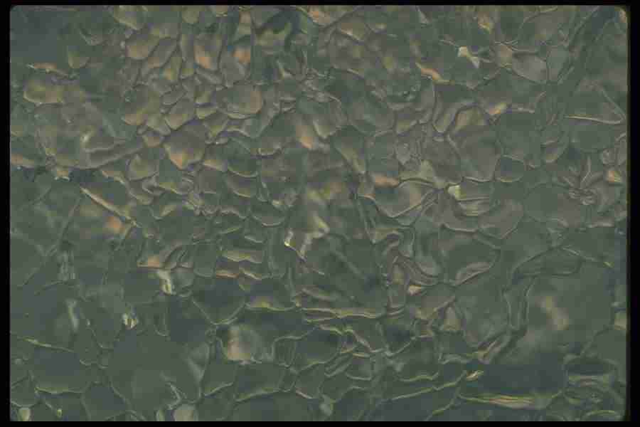 Frost and Ice - Corel Professional Photos ></a>
<script language=JavaScript> 
  var txt = 