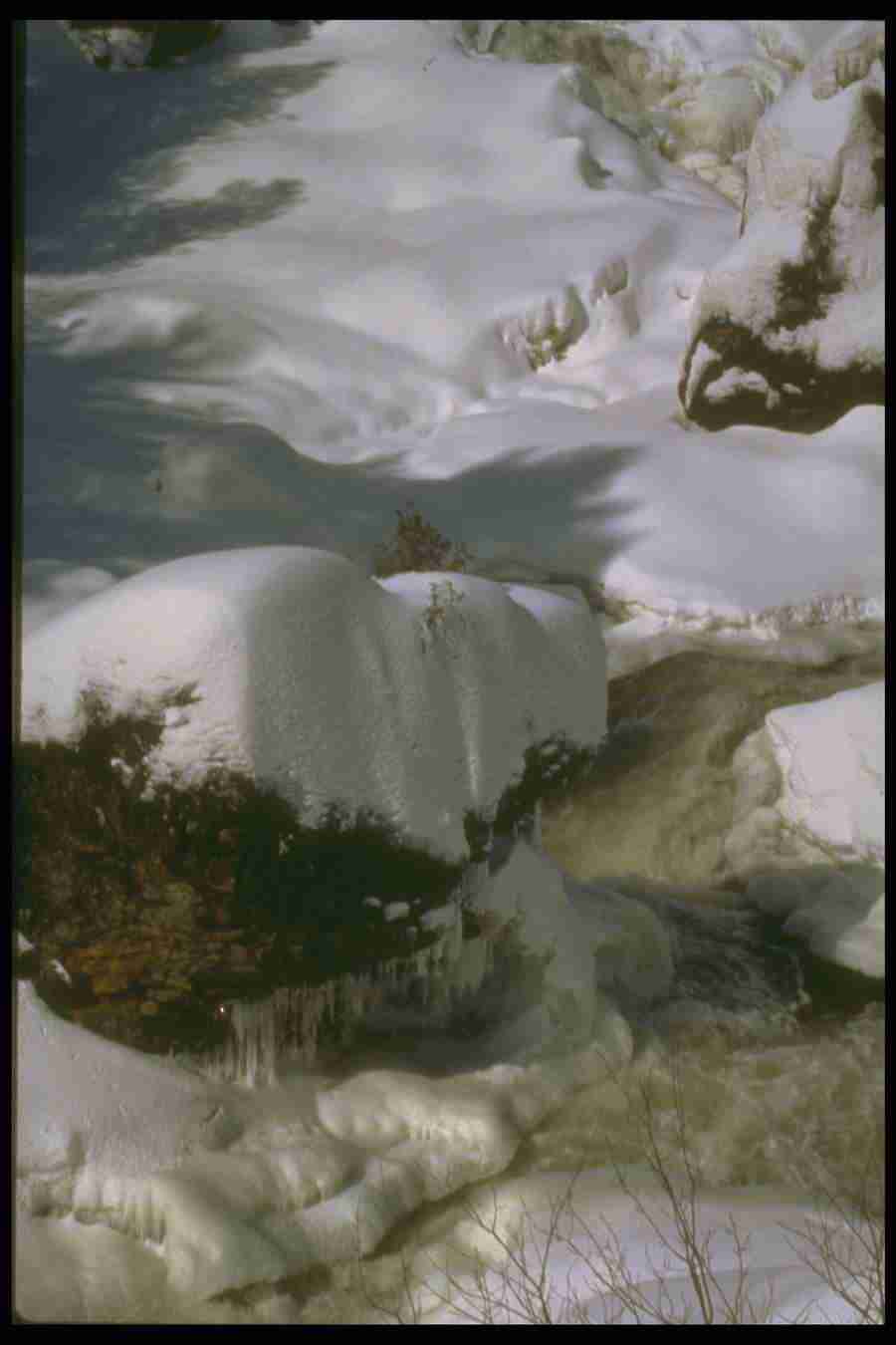 Frost and Ice - Corel Professional Photos ></a>
<script language=JavaScript> 
  var txt = 