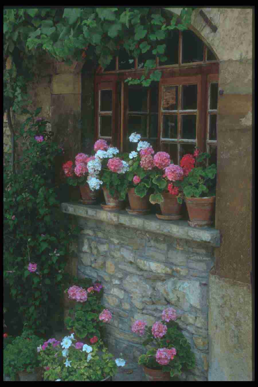 France - Corel Professional Photos ></a>
<script language=JavaScript> 
  var txt = 