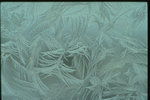 Corel Professional Photos: Frost Textures 