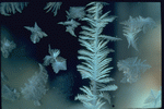 Corel Professional Photos: Frost Textures 