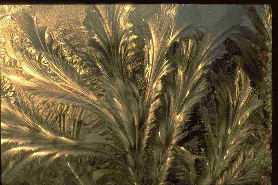 Frost Textures - Corel Professional Photos ></a>
<script language=JavaScript> 
  var txt = 