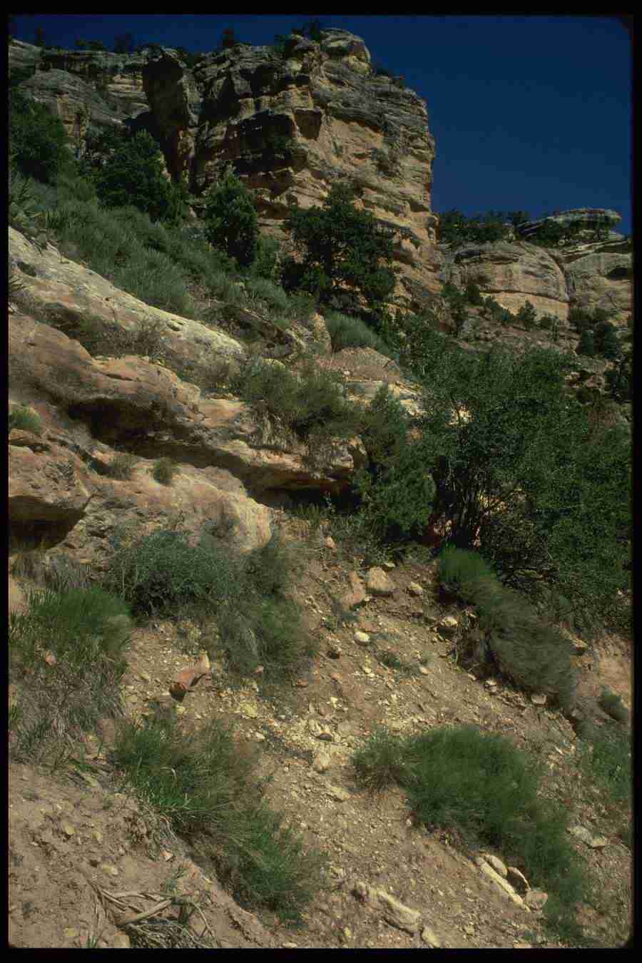 Grand Canyon - Corel Professional Photos ></a>
<script language=JavaScript> 
  var txt = 