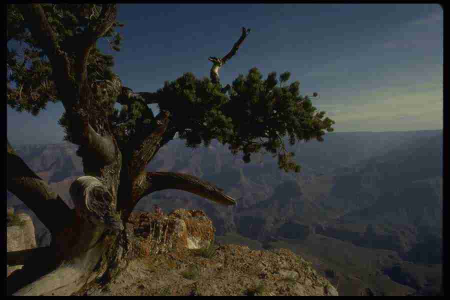 Grand Canyon - Corel Professional Photos ></a>
<script language=JavaScript> 
  var txt = 