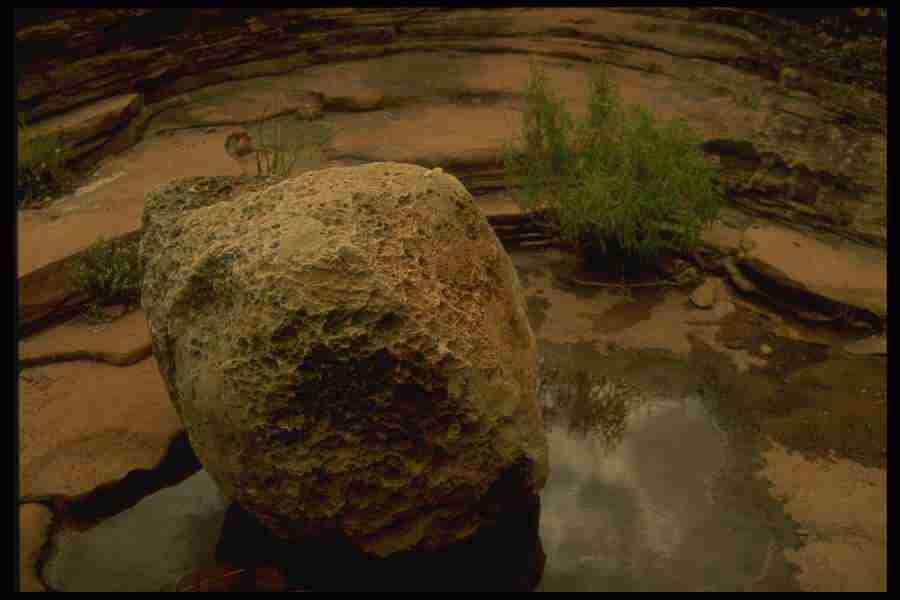 Grand Canyon - Corel Professional Photos ></a>
<script language=JavaScript> 
  var txt = 