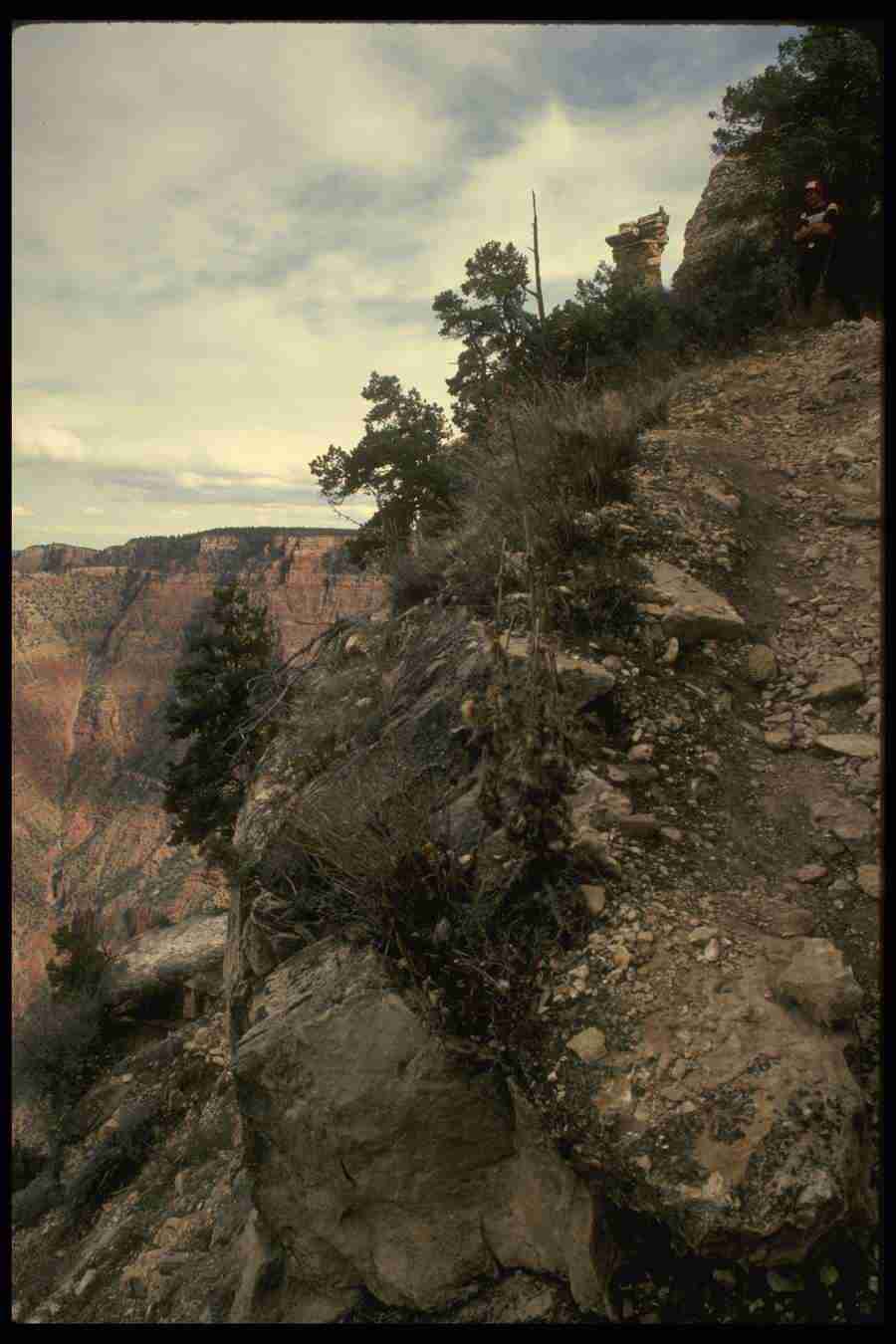 Grand Canyon - Corel Professional Photos ></a>
<script language=JavaScript> 
  var txt = 