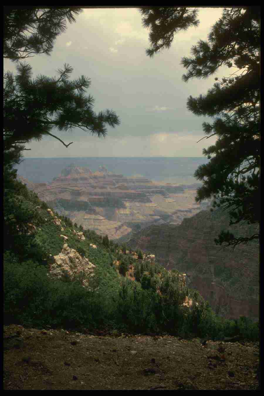 Grand Canyon - Corel Professional Photos ></a>
<script language=JavaScript> 
  var txt = 