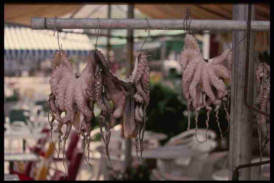 Greek Isles - Corel Professional Photos ></a>
<script language=JavaScript> 
  var txt = 