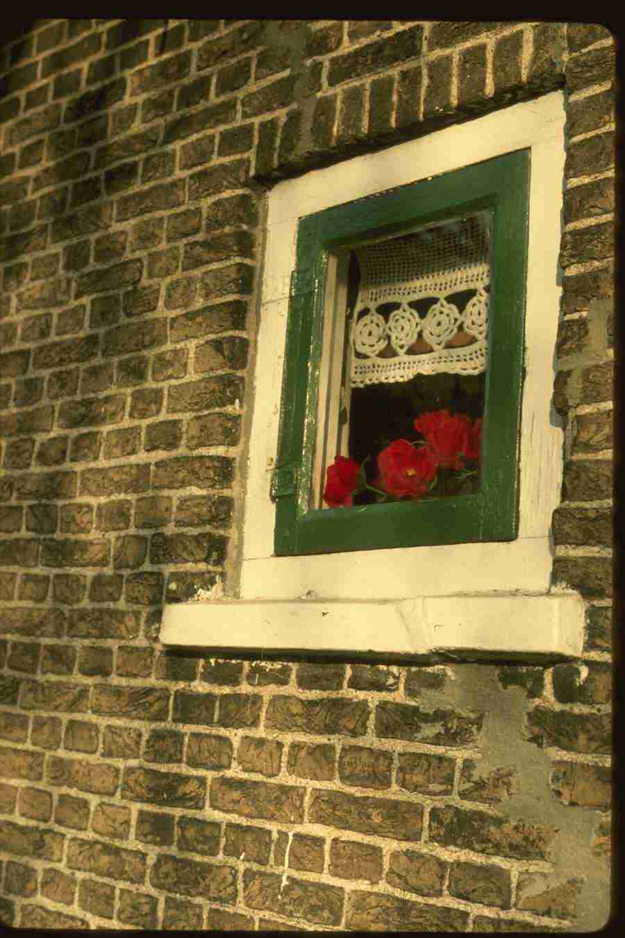 Holland - Corel Professional Photos ></a>
<script language=JavaScript> 
  var txt = 