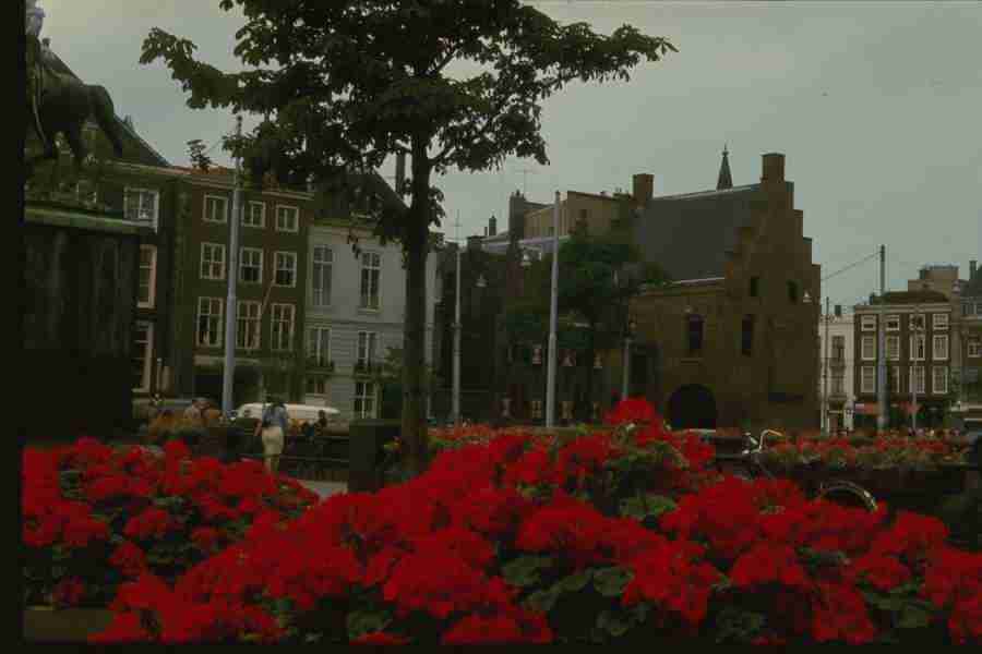 Holland - Corel Professional Photos ></a>
<script language=JavaScript> 
  var txt = 