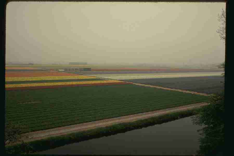 Holland - Corel Professional Photos ></a>
<script language=JavaScript> 
  var txt = 