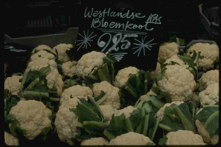 Holland - Corel Professional Photos ></a>
<script language=JavaScript> 
  var txt = 