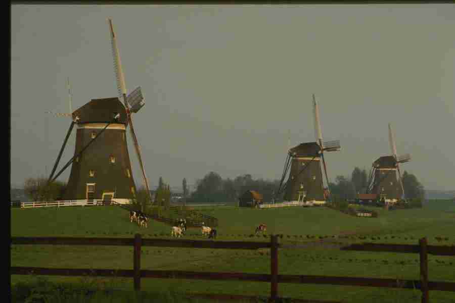 Holland - Corel Professional Photos ></a>
<script language=JavaScript> 
  var txt = 