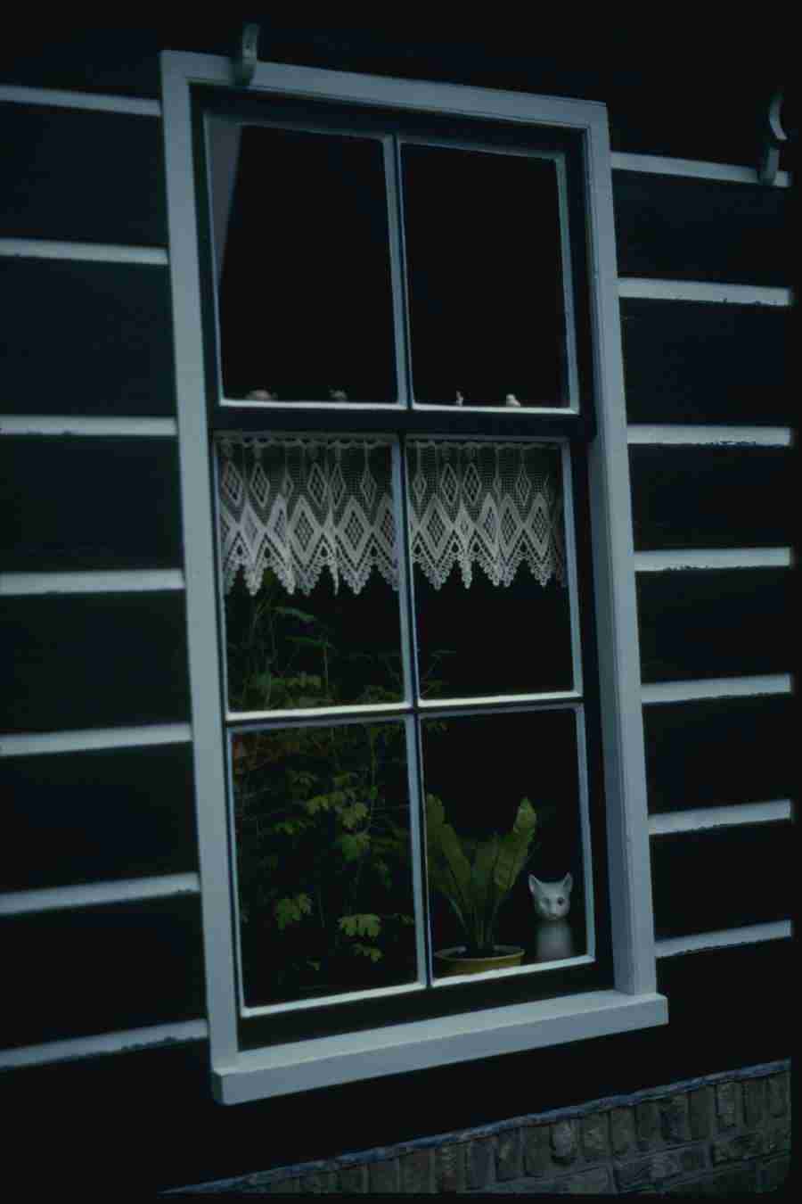 Holland - Corel Professional Photos ></a>
<script language=JavaScript> 
  var txt = 