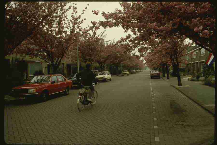 Holland - Corel Professional Photos ></a>
<script language=JavaScript> 
  var txt = 