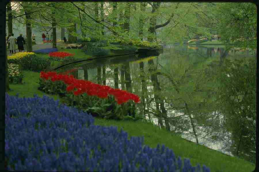 Holland - Corel Professional Photos ></a>
<script language=JavaScript> 
  var txt = 