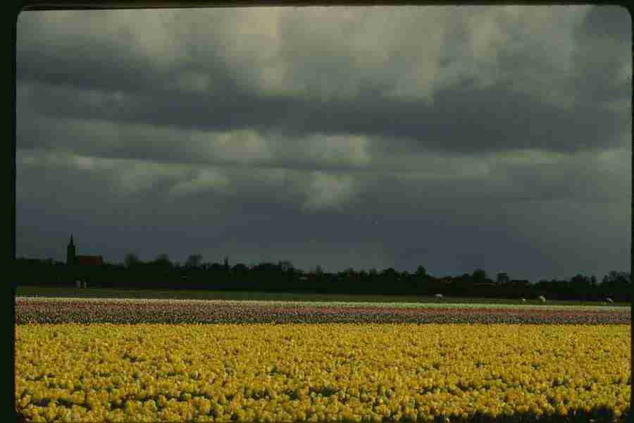 Holland - Corel Professional Photos ></a>
<script language=JavaScript> 
  var txt = 