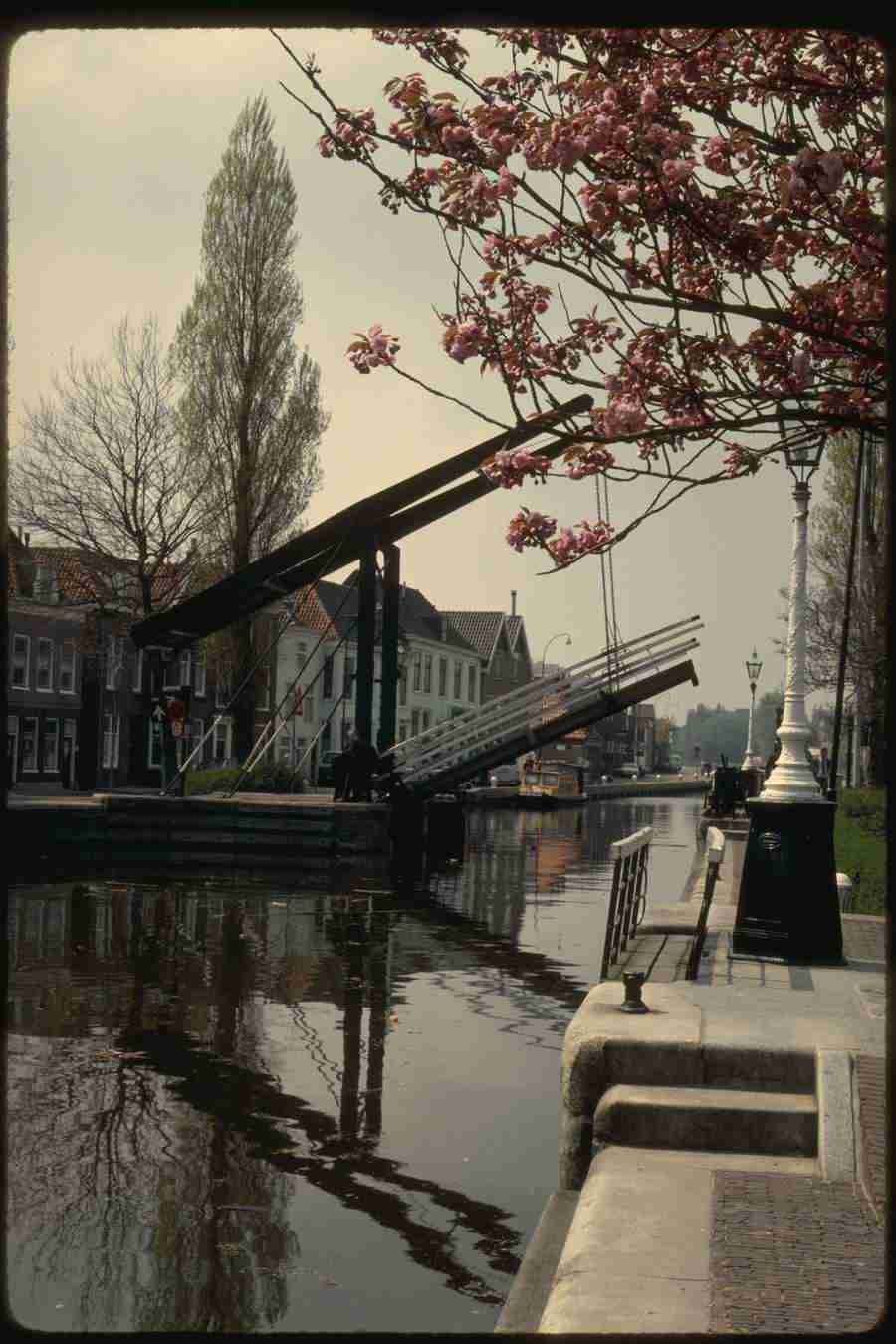 Holland - Corel Professional Photos ></a>
<script language=JavaScript> 
  var txt = 