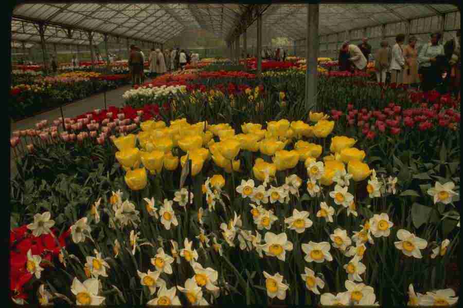 Holland - Corel Professional Photos ></a>
<script language=JavaScript> 
  var txt = 