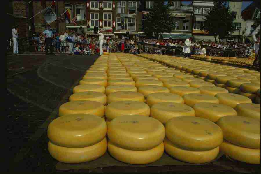 Holland - Corel Professional Photos ></a>
<script language=JavaScript> 
  var txt = 