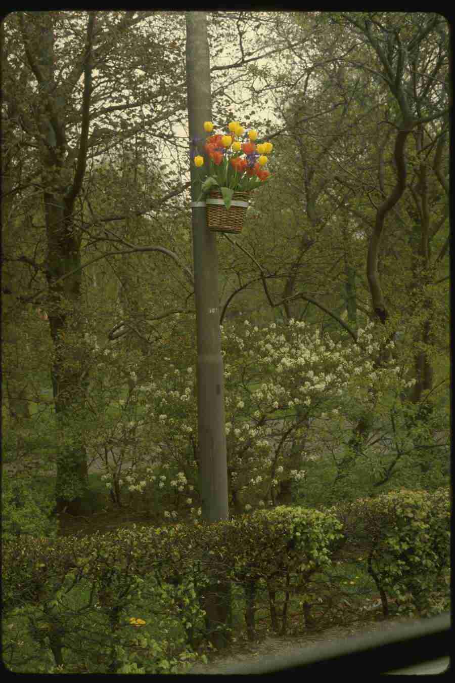 Holland - Corel Professional Photos ></a>
<script language=JavaScript> 
  var txt = 