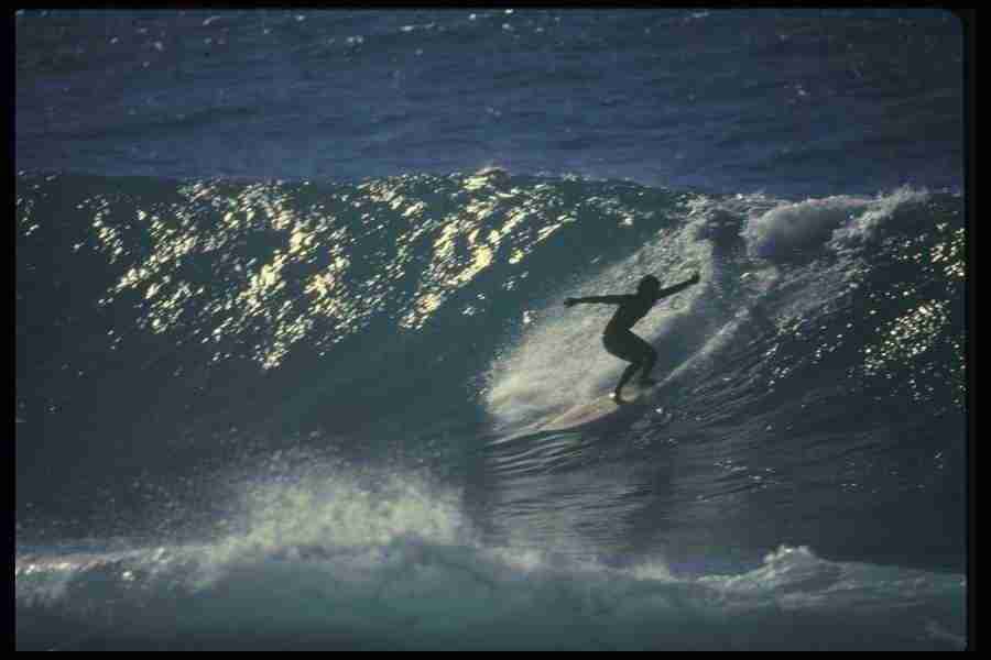 Hawaii - Corel Professional Photos ></a>
<script language=JavaScript> 
  var txt = 