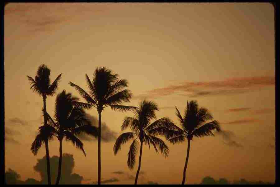 Hawaii - Corel Professional Photos ></a>
<script language=JavaScript> 
  var txt = 