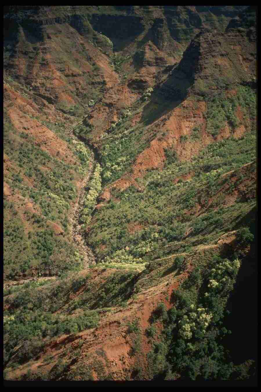 Hawaii - Corel Professional Photos ></a>
<script language=JavaScript> 
  var txt = 