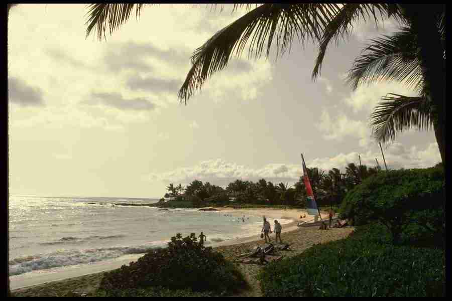 Hawaii - Corel Professional Photos ></a>
<script language=JavaScript> 
  var txt = 