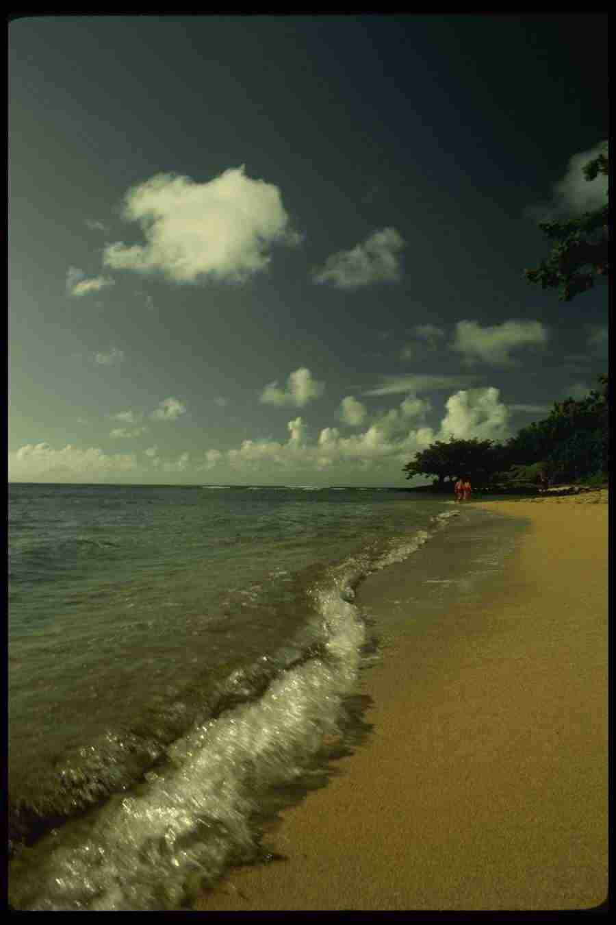 Hawaii - Corel Professional Photos ></a>
<script language=JavaScript> 
  var txt = 