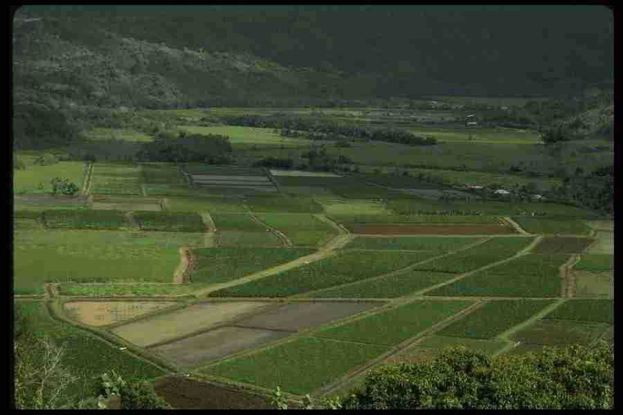 Hawaii - Corel Professional Photos ></a>
<script language=JavaScript> 
  var txt = 