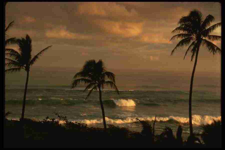 Hawaii - Corel Professional Photos ></a>
<script language=JavaScript> 
  var txt = 