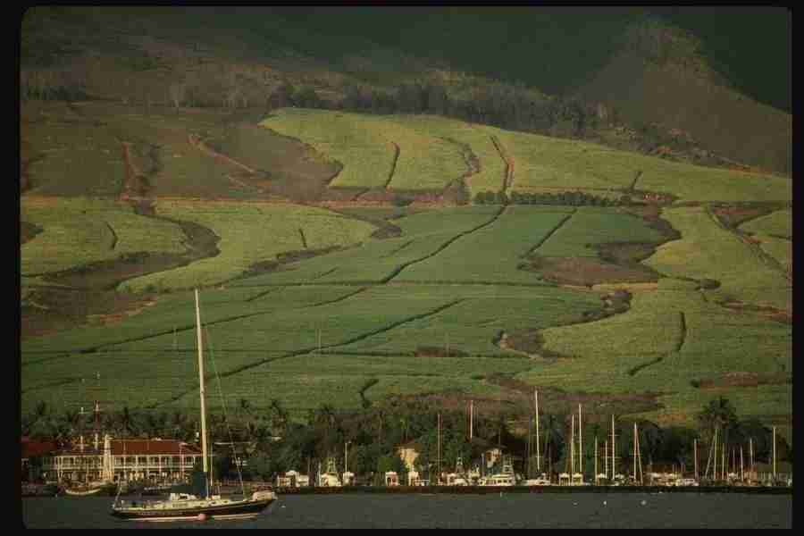 Hawaii - Corel Professional Photos ></a>
<script language=JavaScript> 
  var txt = 