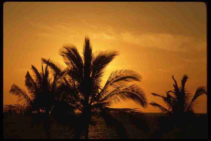 Hawaii - Corel Professional Photos ></a>
<script language=JavaScript> 
  var txt = 