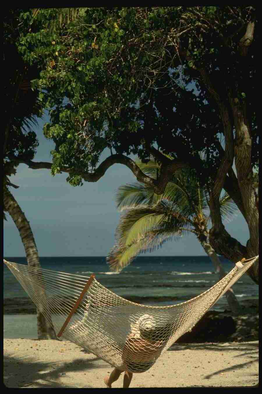 Hawaii - Corel Professional Photos ></a>
<script language=JavaScript> 
  var txt = 