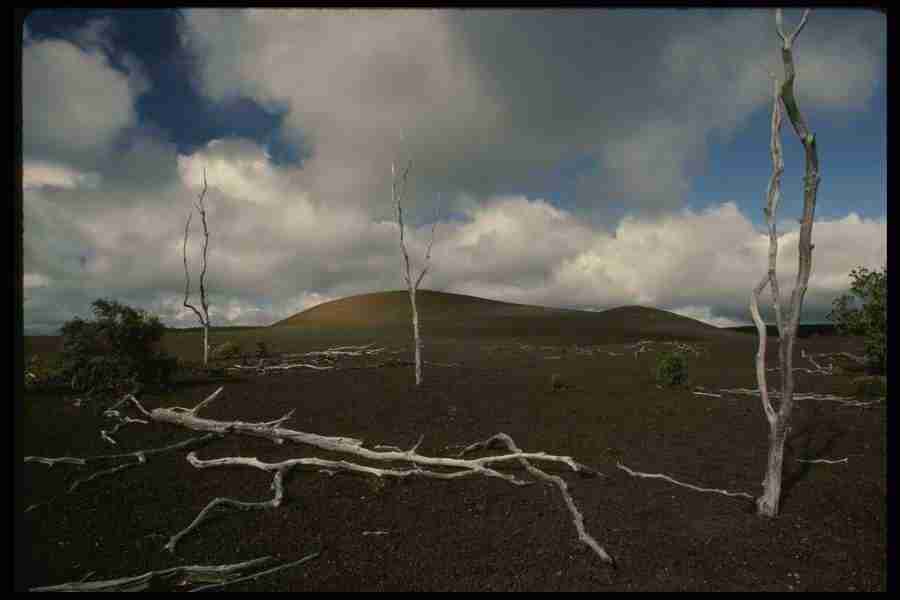 Hawaii - Corel Professional Photos ></a>
<script language=JavaScript> 
  var txt = 