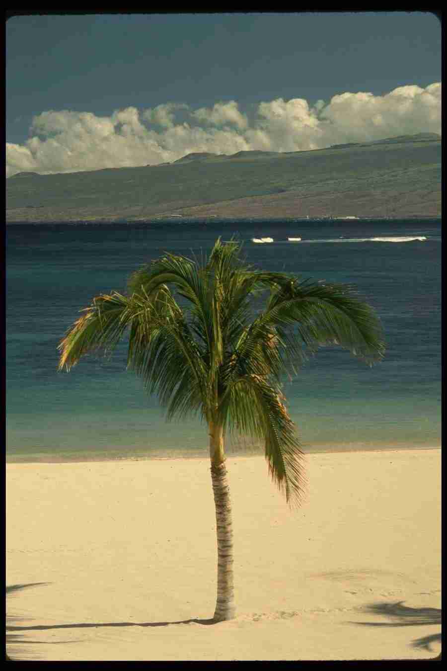 Hawaii - Corel Professional Photos ></a>
<script language=JavaScript> 
  var txt = 