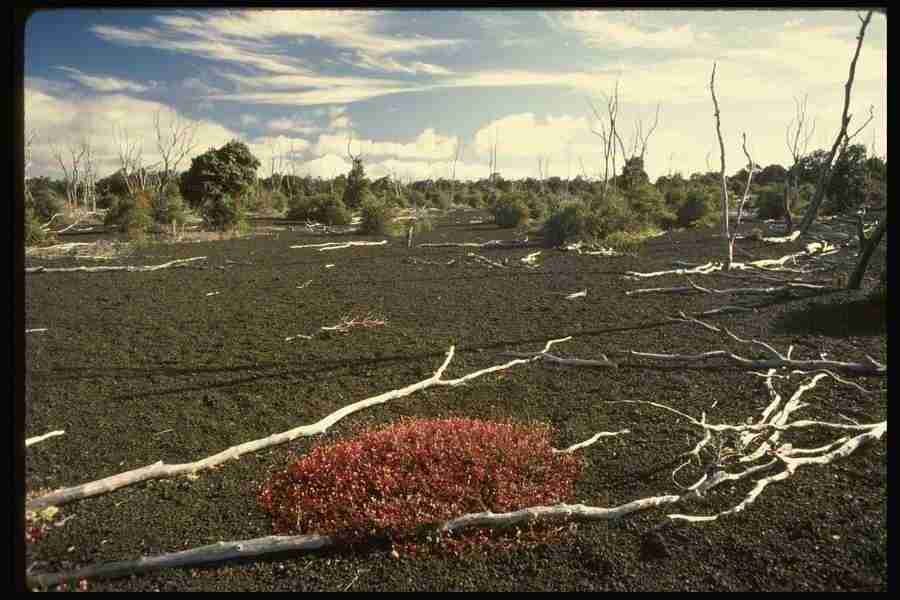 Hawaii - Corel Professional Photos ></a>
<script language=JavaScript> 
  var txt = 