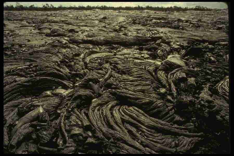 Hawaii - Corel Professional Photos ></a>
<script language=JavaScript> 
  var txt = 