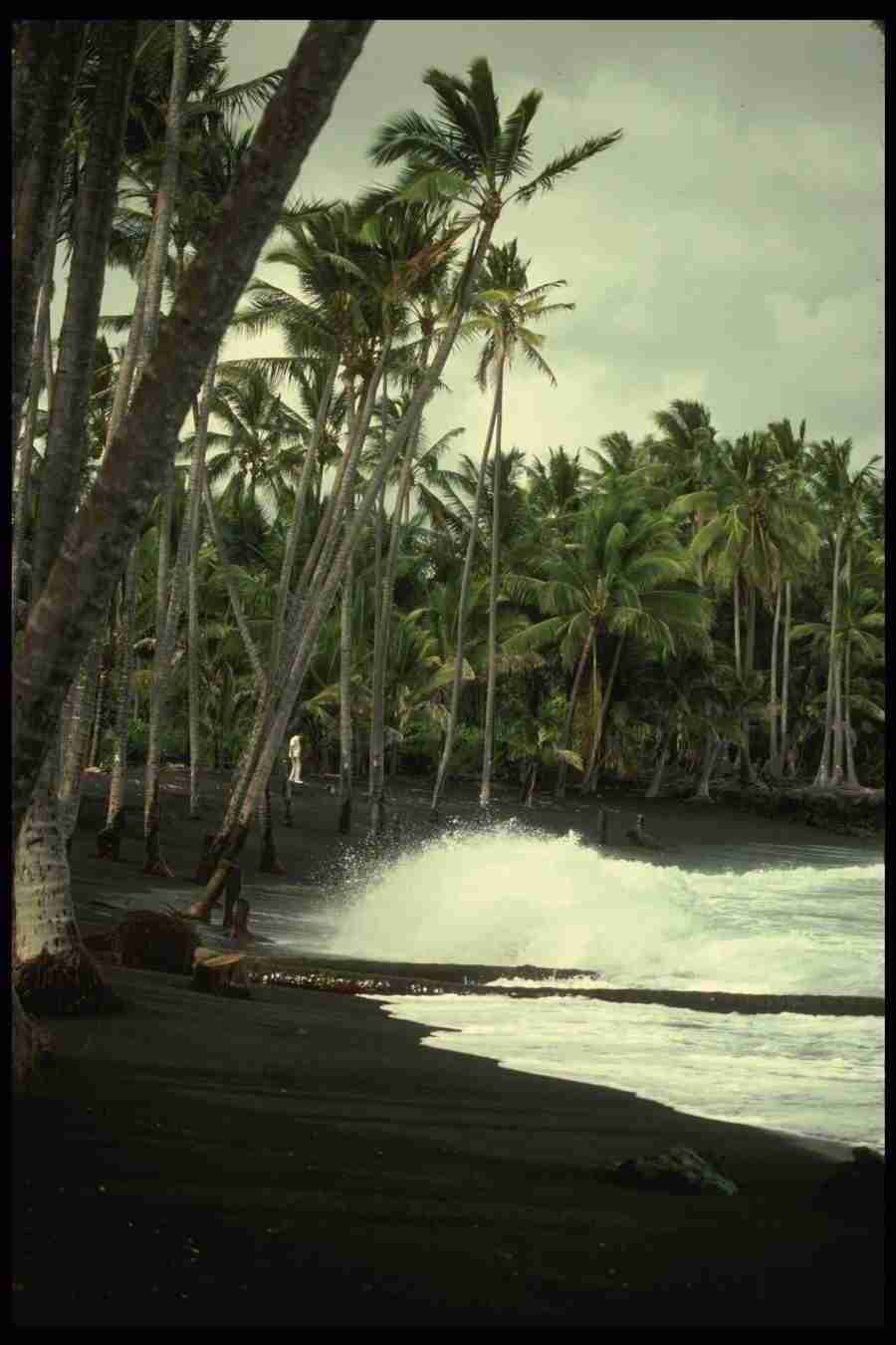 Hawaii - Corel Professional Photos ></a>
<script language=JavaScript> 
  var txt = 